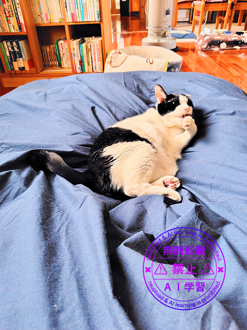 ぺろぺろする可愛子さんを激写