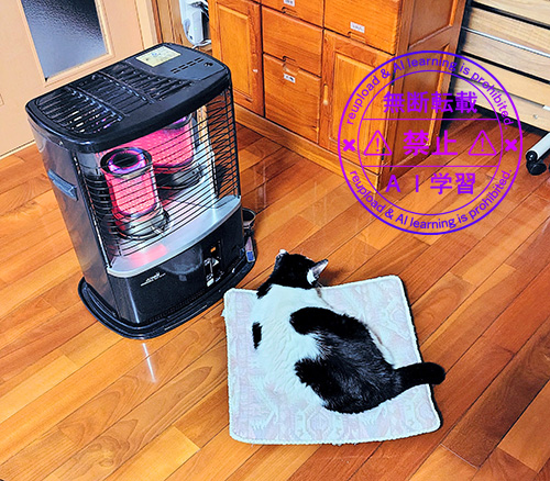 ストーブ前に陣取ってます 無理…消せない