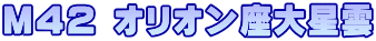 MSQ II启_