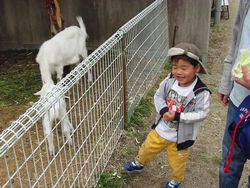 120-2050_IMG.JPG