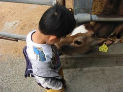 120-2056_IMG.JPG