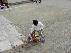 120-2034_IMG.JPG