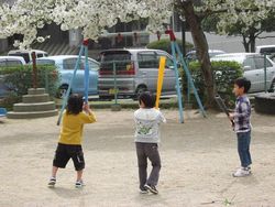 120-2035_IMG.JPG