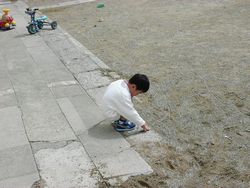120-2037_IMG.JPG