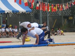IMG_0246.JPG
