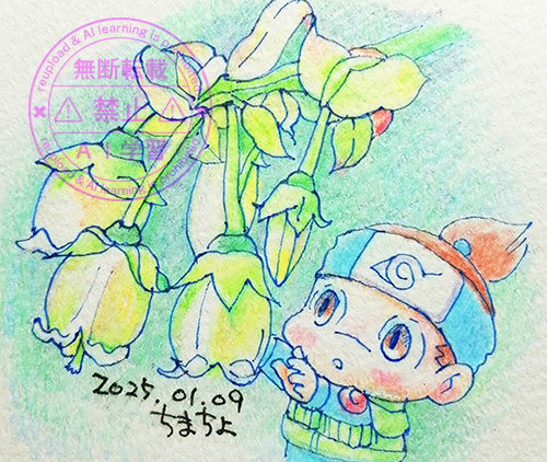 ブルーベリーの花とイルカ先生