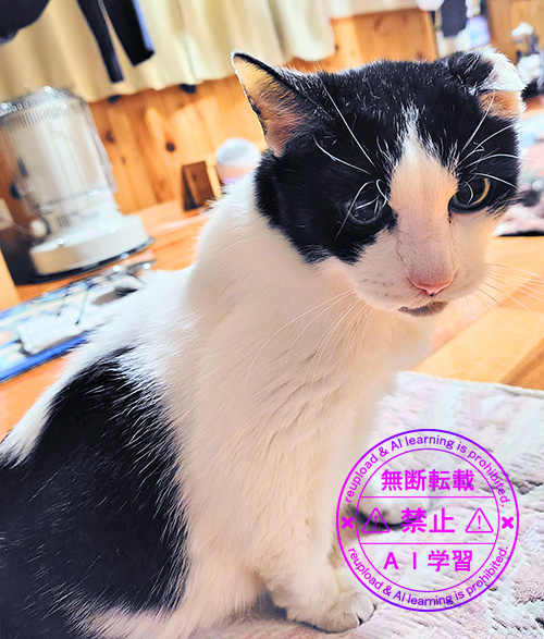 体調戻ってきたよ︎