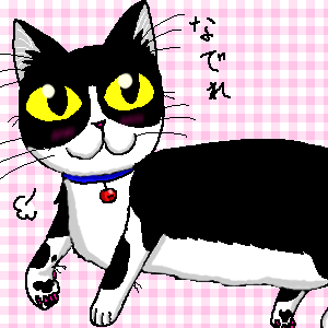 チー01