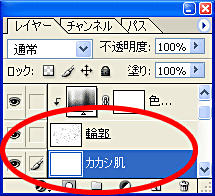 肌レイヤー